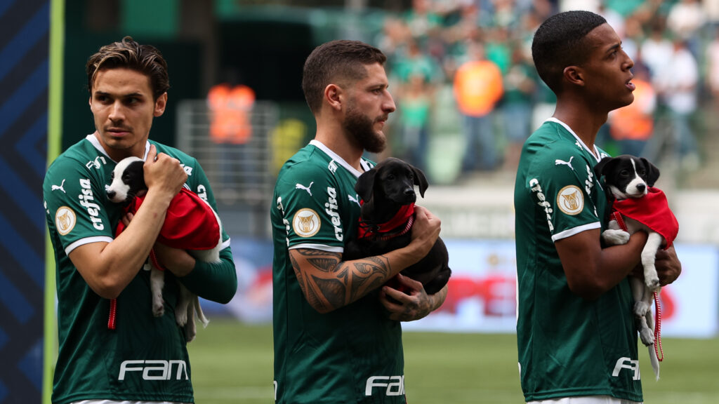 Palmeiras se junta a warner bros para divulgar filme superpets e conscientizar sobre adoção responsável