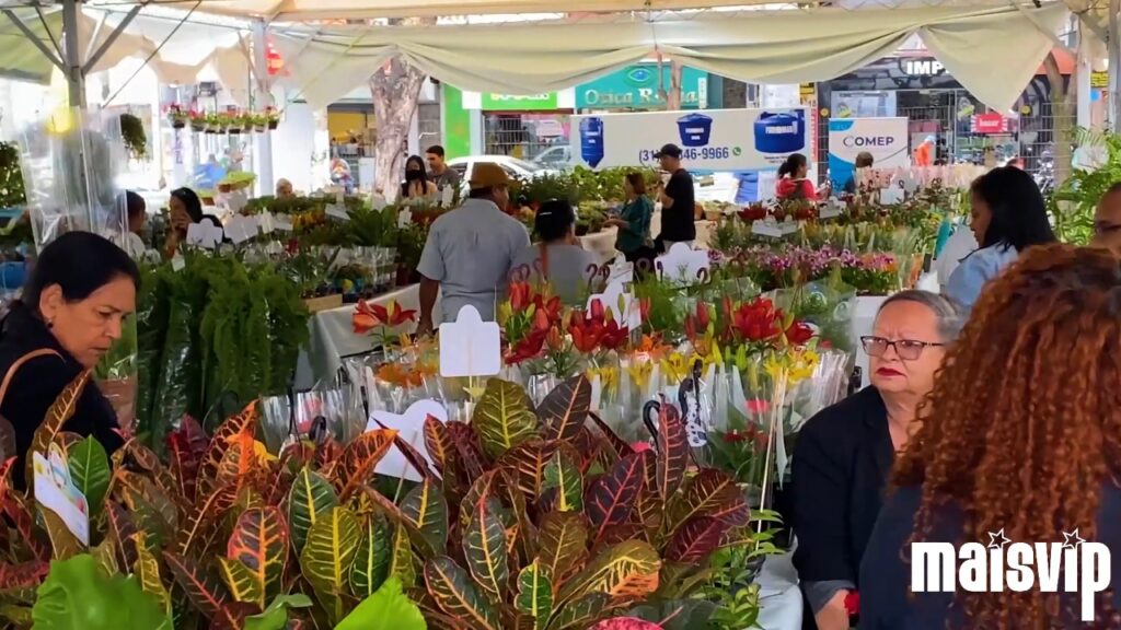 EXPO FLOR de IPATINGA chega à sua 17ª edição