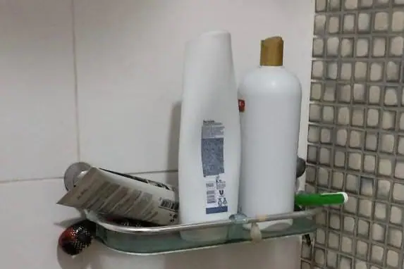 Cobra-coral é encontrada em porta-shampoo dentro de residência, em Uberlândia