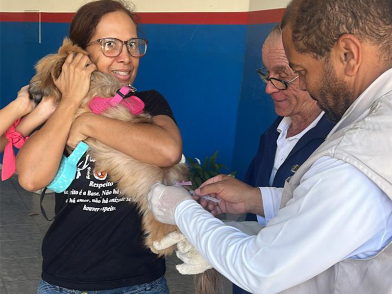 Campanha de Vacinação Antirrábica para cães e gatos encerra neste sábado