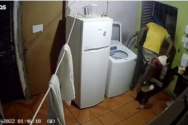 Vídeo: ladrão invade casa e exige socorro das vítimas após ser mordido por cão