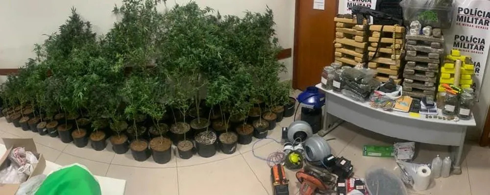 Polícia apreende 98 pés de maconha em 'laboratório' criado para preparar e cultivar a droga em Ipatinga