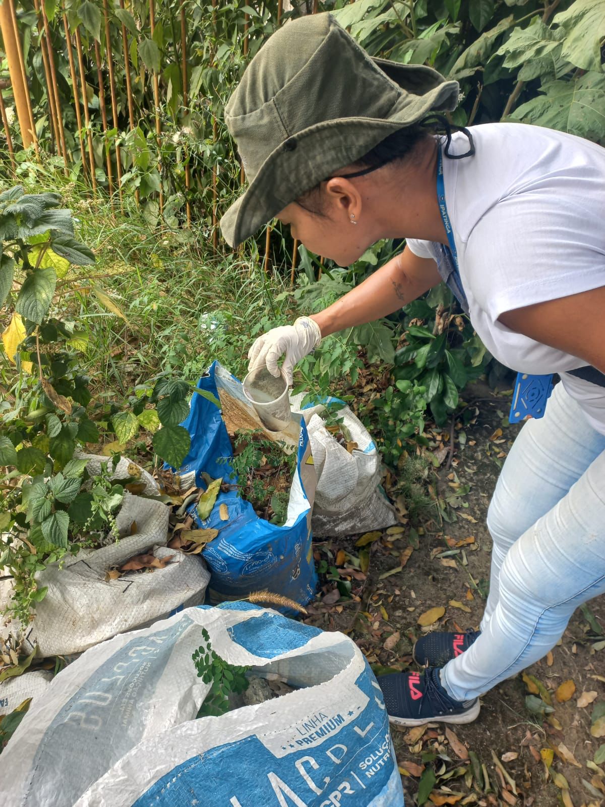 Ipatinga declara situação de emergência para enfrentar alto índice de infestação do mosquito da Dengue