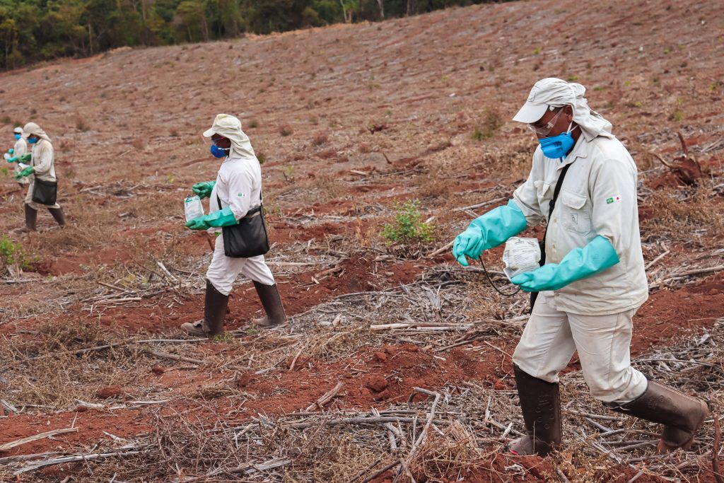CENIBRA abre vagas para trabalhadores na área florestal