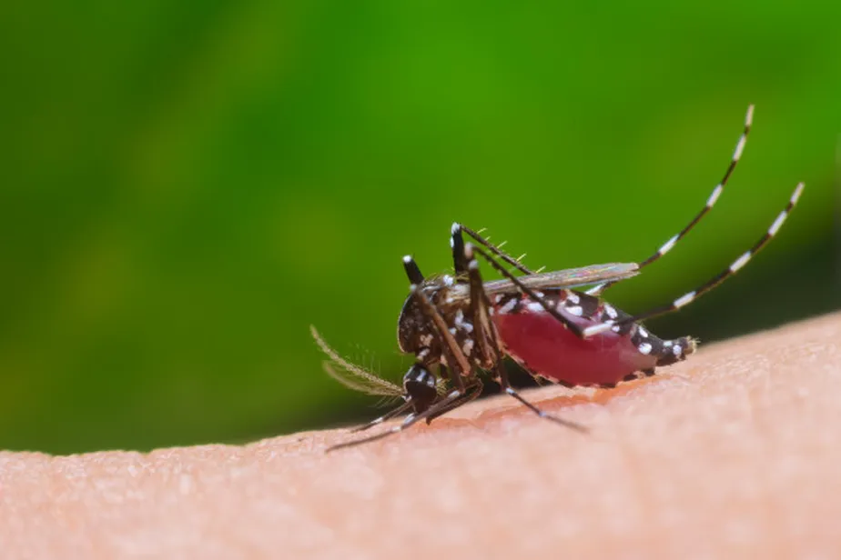 Ipatinga confirma primeira morte por chikungunya