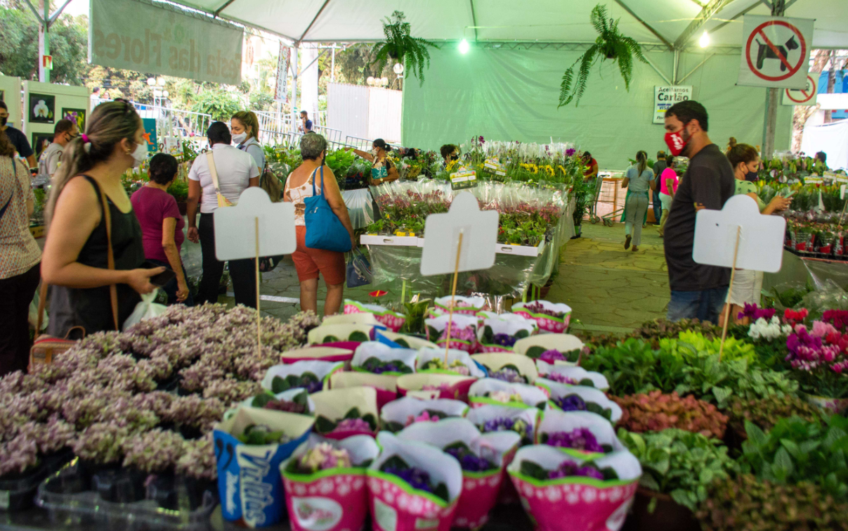 17ª Festa das Flores começa na próxima quinta (6), em Governador Valadares; veja a programação