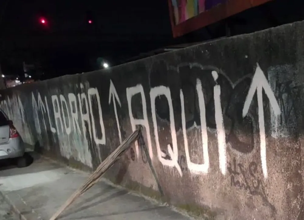Vídeo: criminoso pula muro com aviso de 'ladrão aqui' para roubar celular