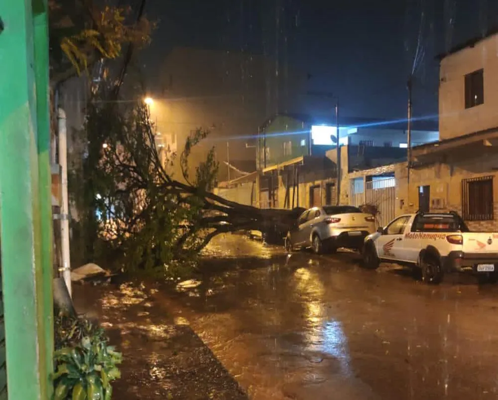 Chuvas em Minas: 16 famílias estão desalojadas em Teófilo Otoni, segundo balanço da Defesa Civil