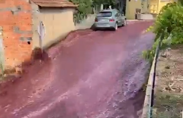 'Rio' de vinho inunda ruas de cidade em Portugal após depósito estourar