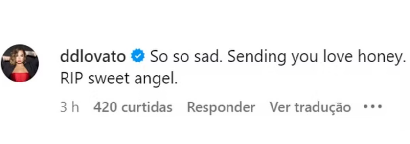 Demi lovato lutador brasileiro