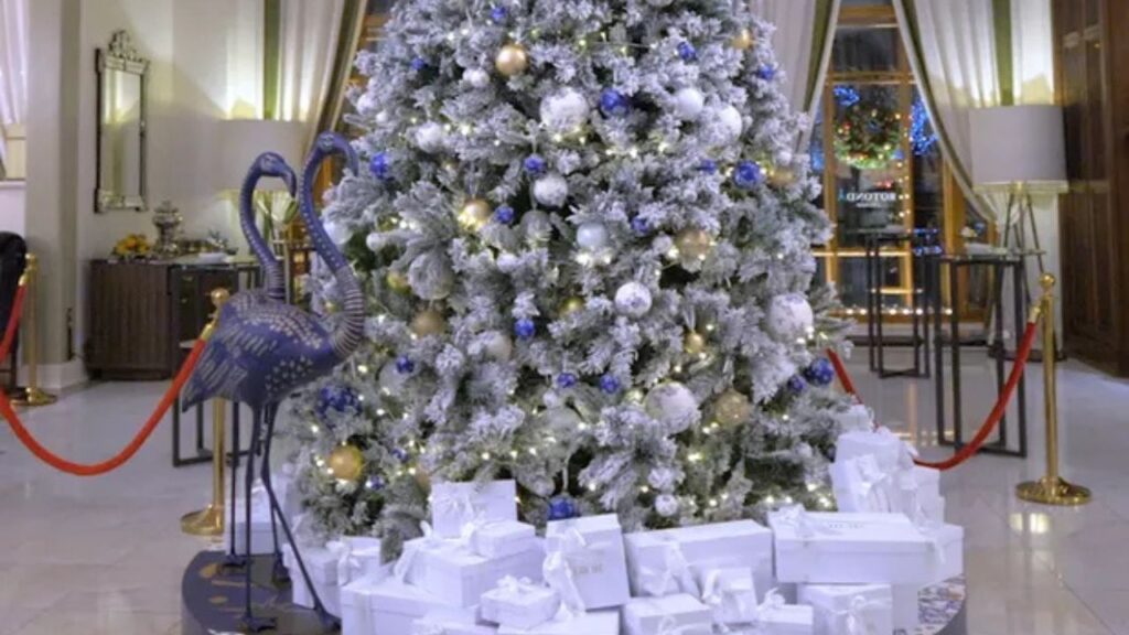Tendência de aluguel de árvores de Natal de luxo em BH atrai famílias e empresas