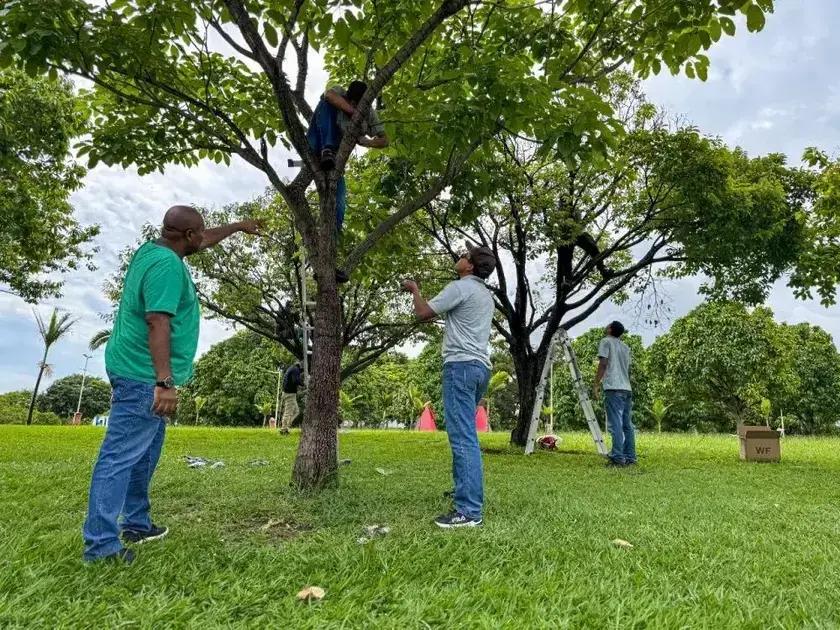 Ipatinga se ilumina: 5 detalhes do projeto Cidade Luz