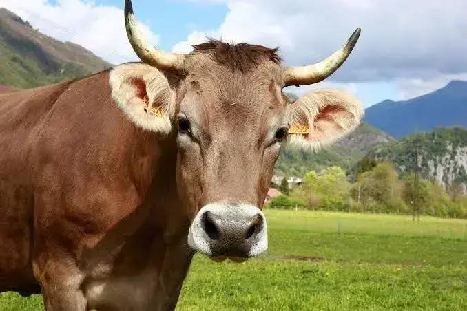5 razões para não descartar lixo de qualquer jeito
