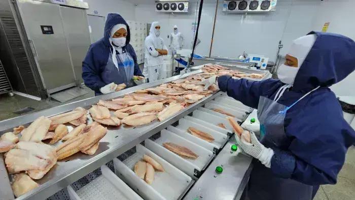 Morada Nova de Minas: o maior produtor de tilápias do Brasil