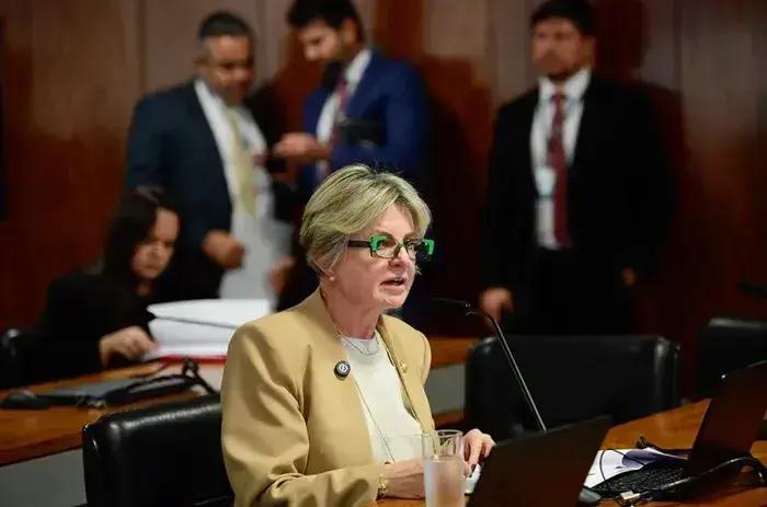 CMA aprova novas normas para o transporte de cães e gatos em voos nacionais