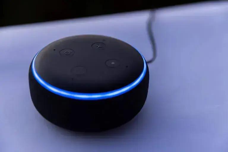 Ladrão Furta Dispositivo Alexa e Outros Itens em Loja de Timóteo