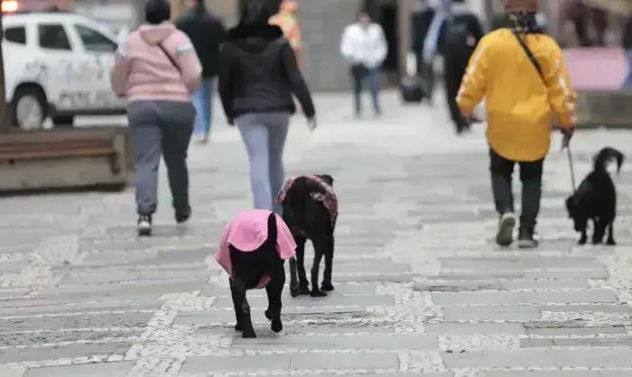 Variável climática: Parque Nacional do Itatiaia registra -9,4ºC