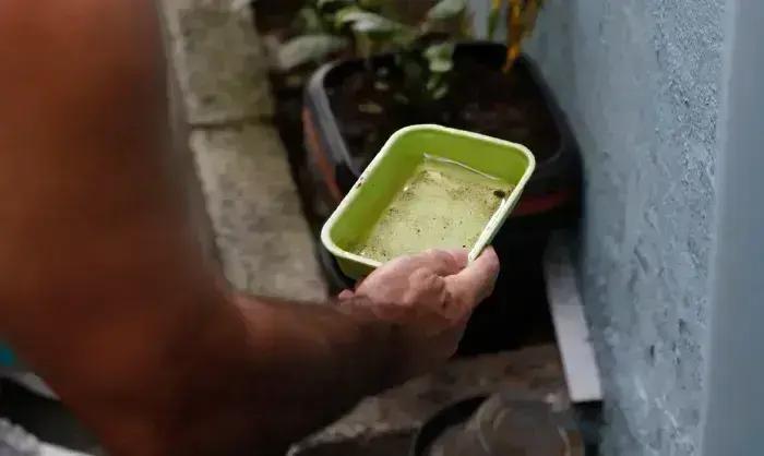 Chikungunya: Desafios e Avanços Após 10 Anos no Brasil