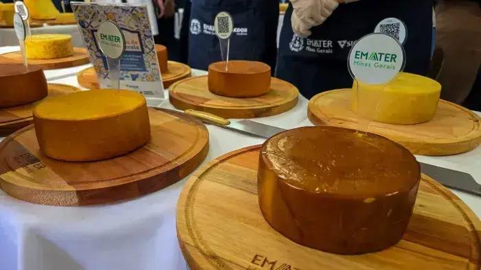 Concurso dos Queijos Artesanais em Minas: Vencedores são Revelados