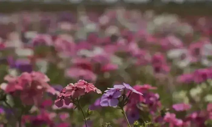 Primavera inicia com forte frente fria e previsão de temporais no Brasil