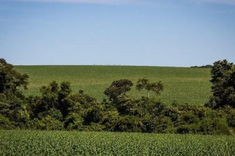 Funrural, qual a melhor opção?